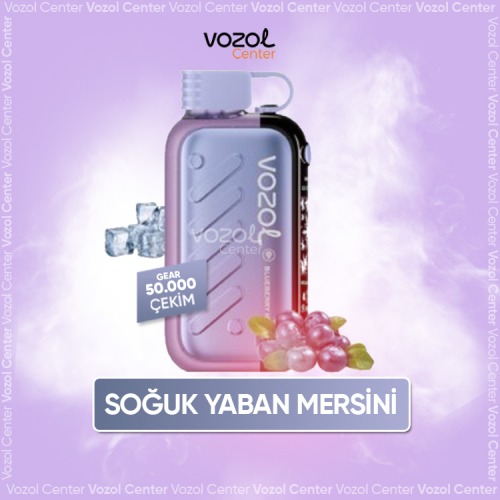 Vozol Gear Ice & Sweet 50000 Blueberry Ice
